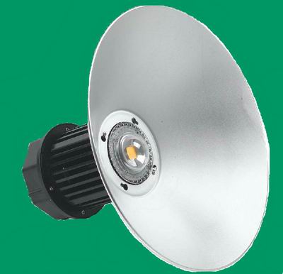 LEDSϵ50W
